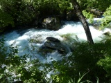 Rushing Water in Summer