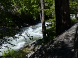 Downslope at Kootenai Creek