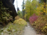 Mountain Path in Autumn