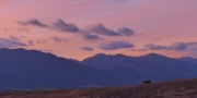 Purple Clouds Panorama