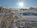 Snowy Morning