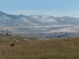 A Light Dusting to the East