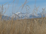 Out of Focus Mountains