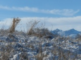 November Morning on a Hillside