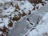 Frozen Stream