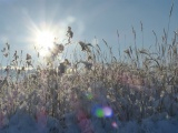 Solar Reflections on a Snowy Day