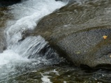 Flowing Water at Kootenai Creek