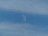 The Moon between Bands of White