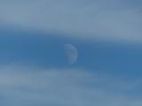 The Moon between Bands of White