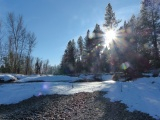 River Pebbles, Evergreens, and Sun