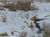 Landscape of Winter Stream