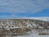 Snow Dusted Hillside under Blue Sky