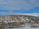 Snow Dusted Hillside under Blue Sky