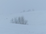 View across Hills in the Snow