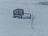 Garden Bench of Winter Solitude