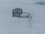 Garden Bench of Winter Solitude