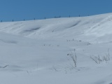 Blanket of Snow