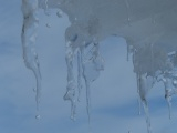 March Icicles