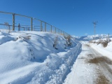 Snow-Edged Lane