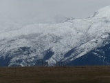 Mountains Rising beyond Fields