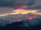 Fuchsia Highlights at Sunset