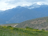 Flowers and Mountains in May