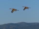 Flight of the Cranes