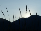 Towering Spires at Sunset