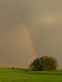 Rainbow in an Evening Storm