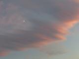 Quarter Moon, Pink Clouds