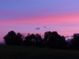 Pink and Blue Stripes