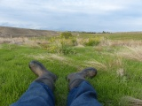 Laying on a Hillside