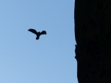 Cliffside Flight