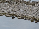 Rocks at Rivers Edge