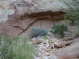 Utah Alcove