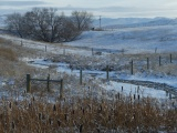 Late November Dusting