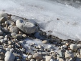 Riverside Rocks on a Winter Shore