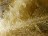 Lemon Quartz Detail II