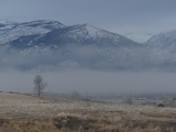 Misty Morning Pastures & Mountains