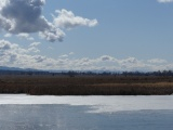 Receeding Ice on a Pond