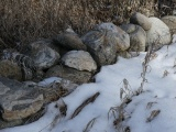Line of Rocks in Winter