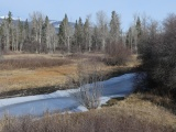 Frozen Stream in Stevensville