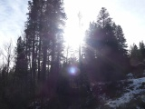 Afternoon Sun near Kootenai Creek