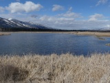 Spring Creek in Early March