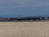 Irrigation Wheels in the Distance