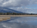 Soft Reflections on a Cloudy Day