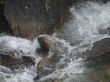 Splash in the Creek