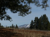 View from Under Overhanging Branch