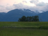 Pastures, Trees and Mountains