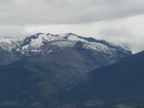 June Snow above Green Forests